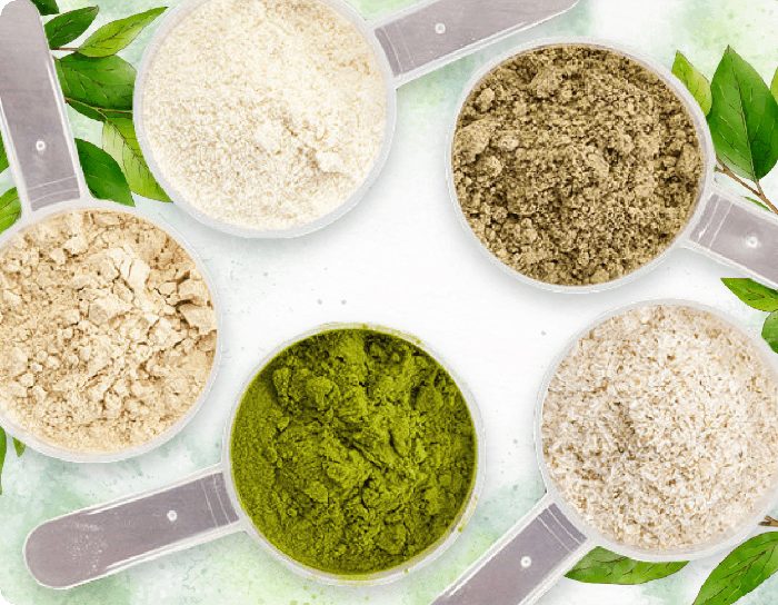 ProDentim plant and mineral blend ingredients shown as powders